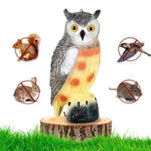 Garden Shaking Head Owl Decoy - Buy 2 For Free Shipping - BestBck