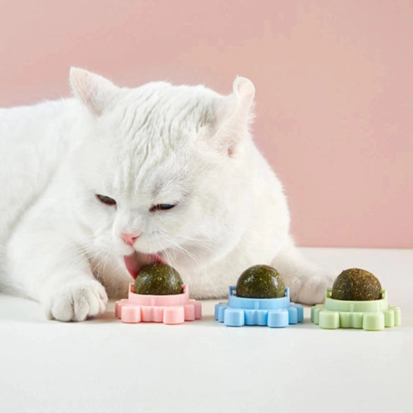 Catnip Balls(Buy 2 Get 1 Free)